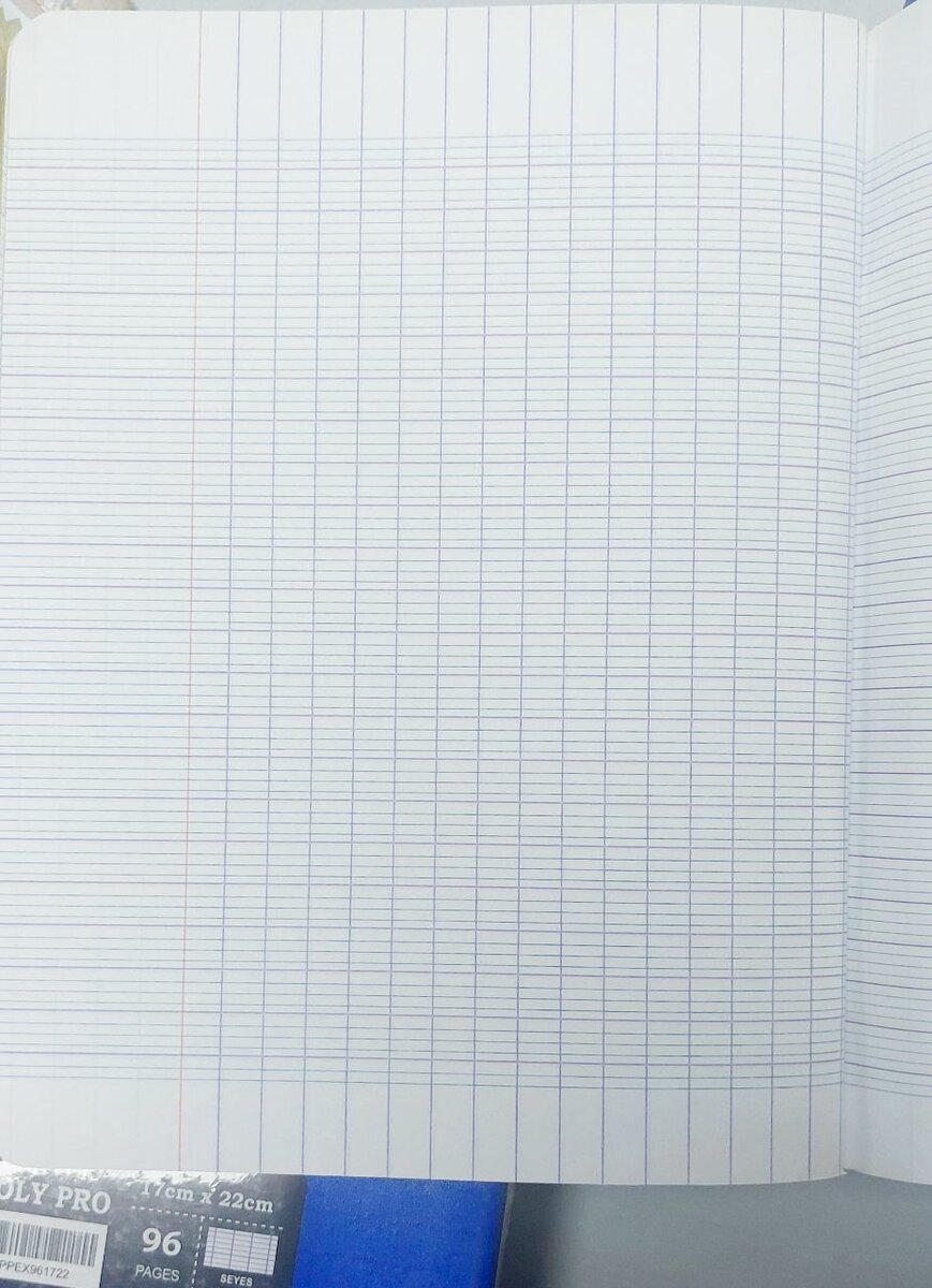 Cahier Trio Polypro 100 Pages