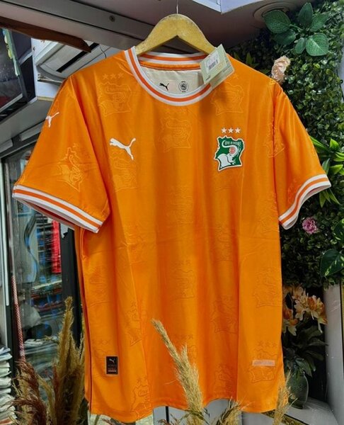 Maillot Côte d'Ivoire Puma