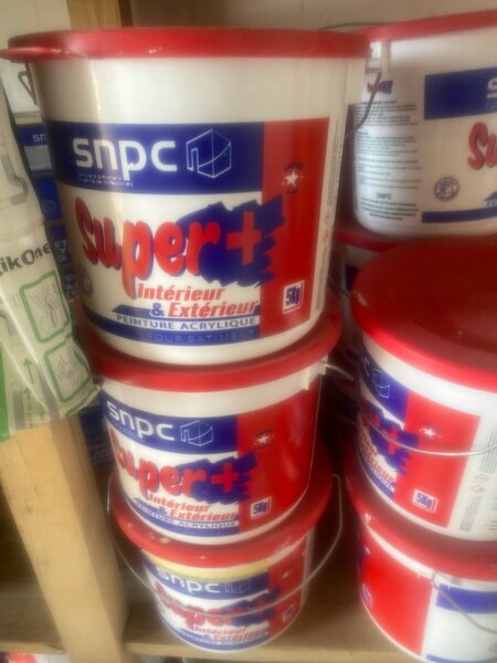 Peinture acrylique intérieur extérieur