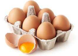 Œufs de Poule Frais Bio