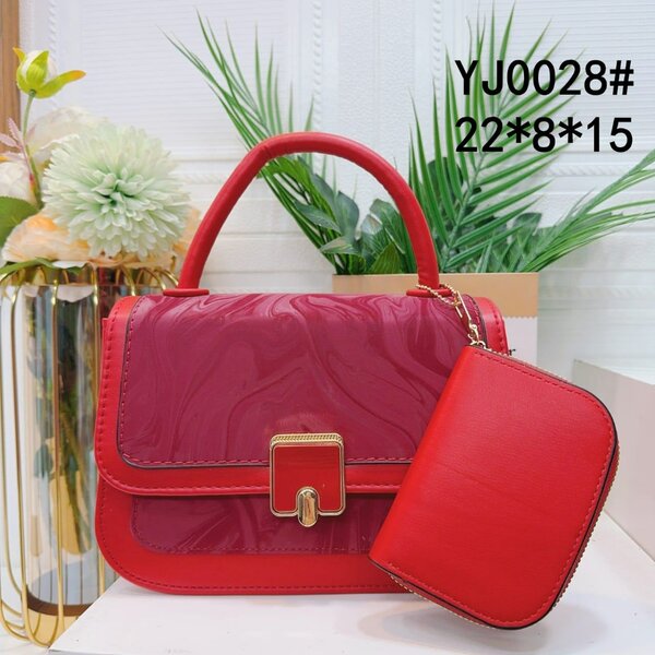 Sac à main élégant 2 pièces