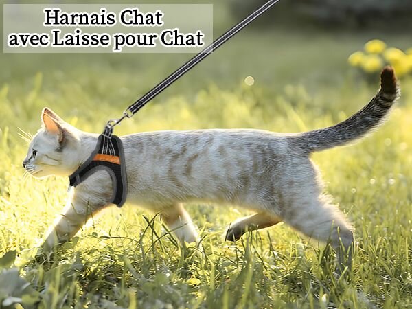 Harnais pour Chat Réglable
