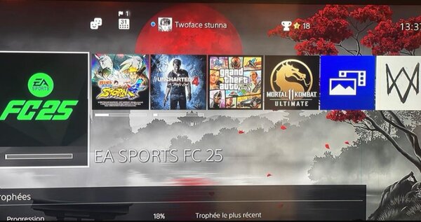 PS4 FAT avec 2 manettes