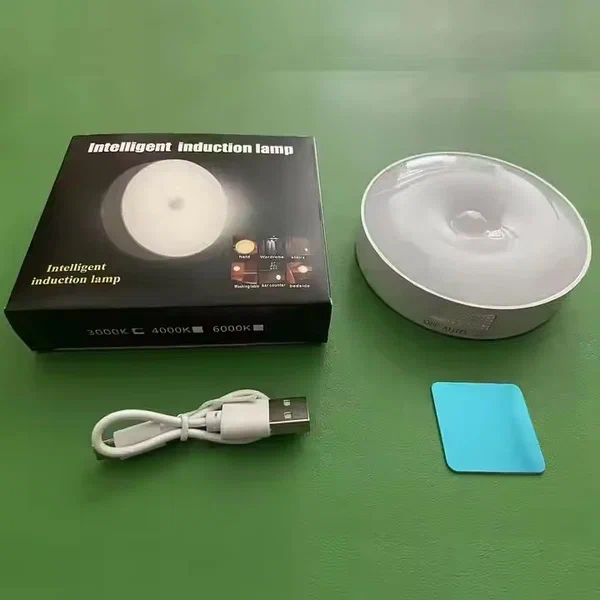 Lampe à induction intelligente LED