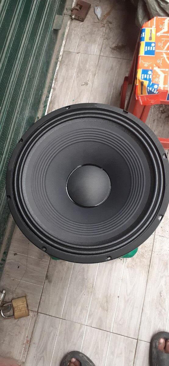 Powerful 1000W Subwoofer