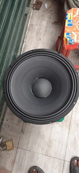 Powerful 1000W Subwoofer