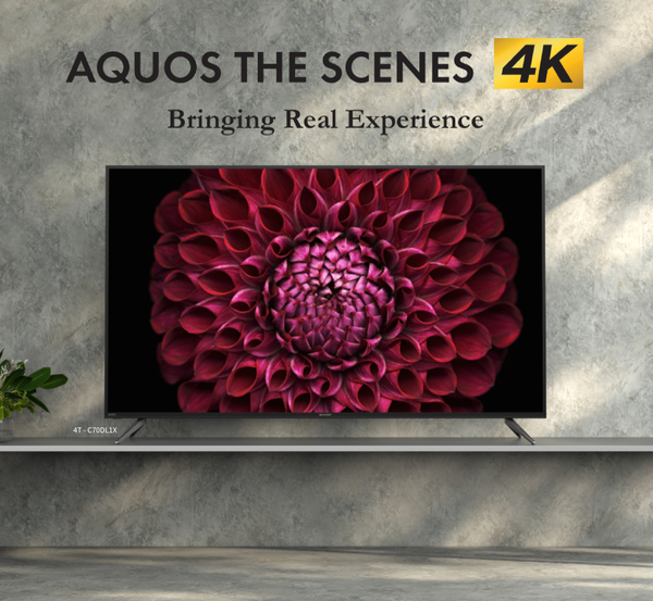 ️SHARP 60pouces androïd tv