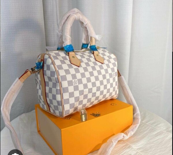 Sacoche Luis Vuitton