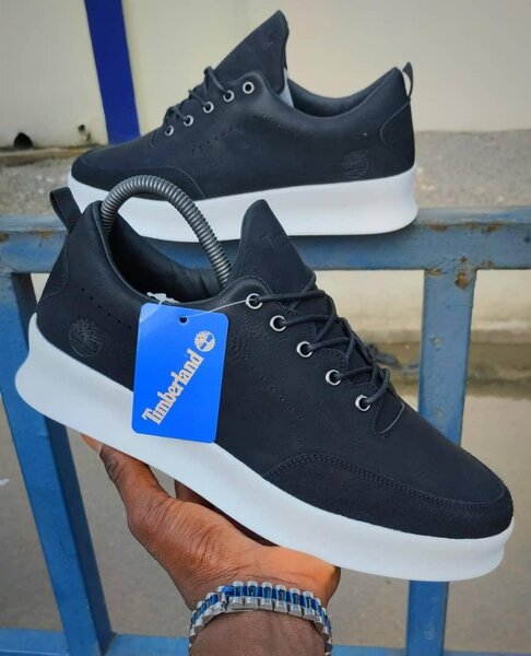 Timberland class