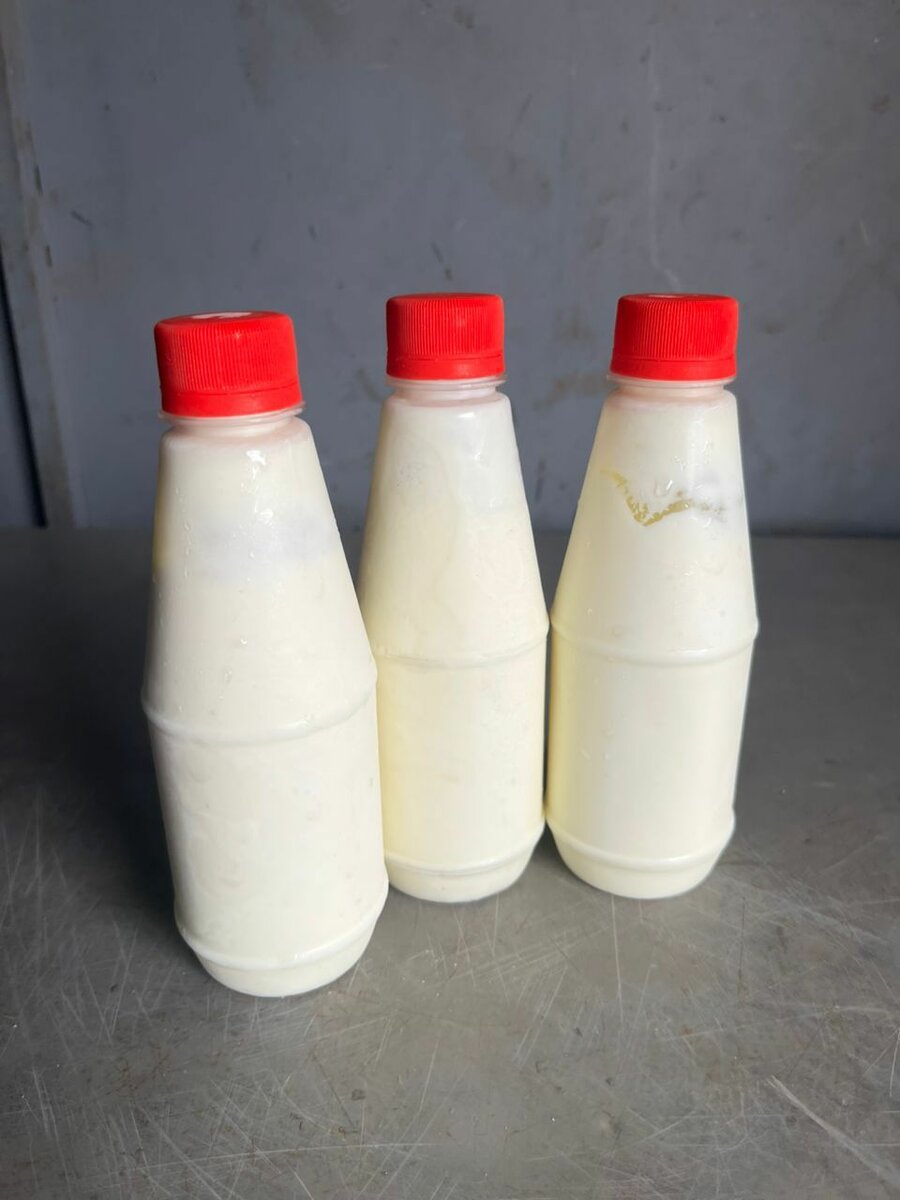 Yaourt Nature Bio en Bouteille