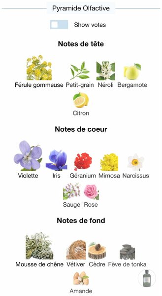 Parfum Homme Grey Flannel