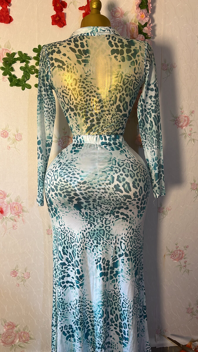 Robe Léopard Élégante