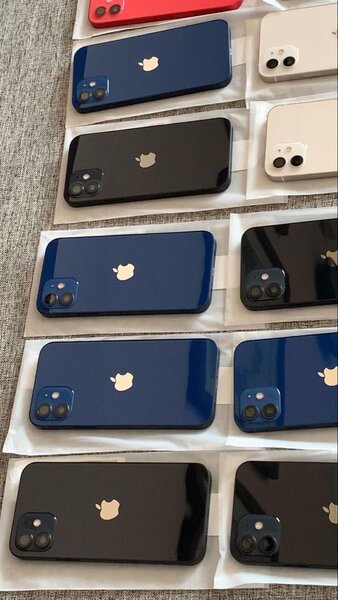 iPhone 11 - Multicolore