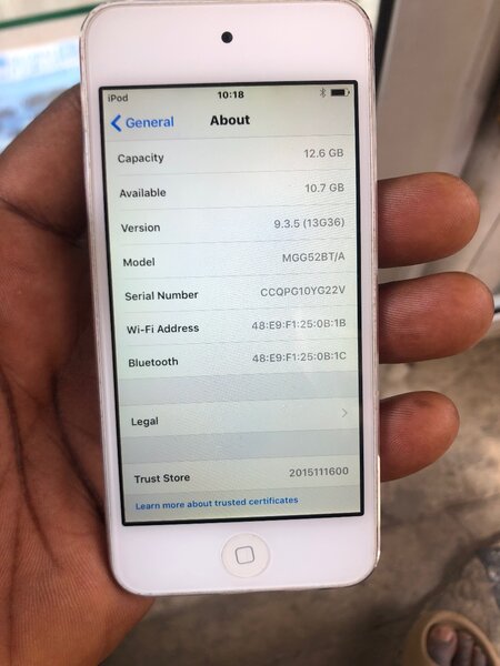 iPod touch 5 generation