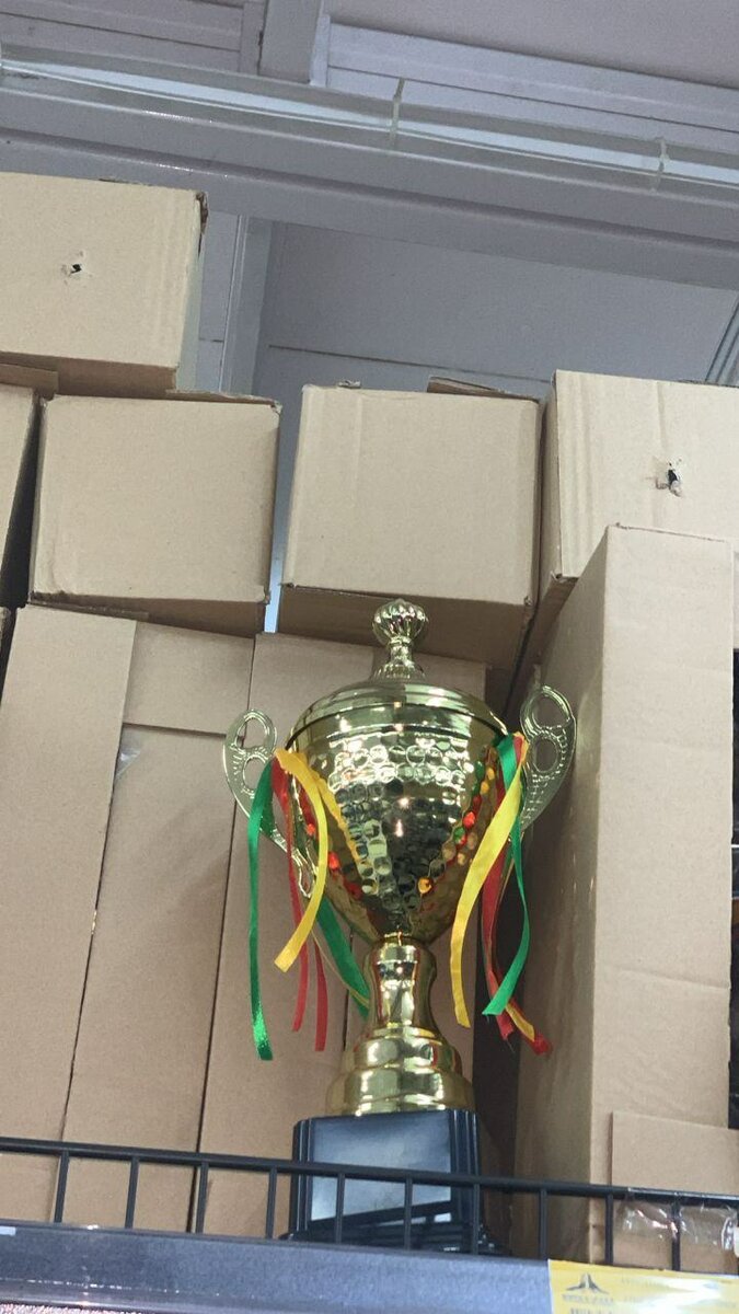Sports trophy