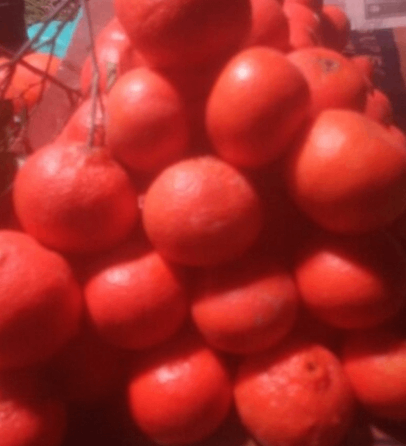 Frooter 12pcs