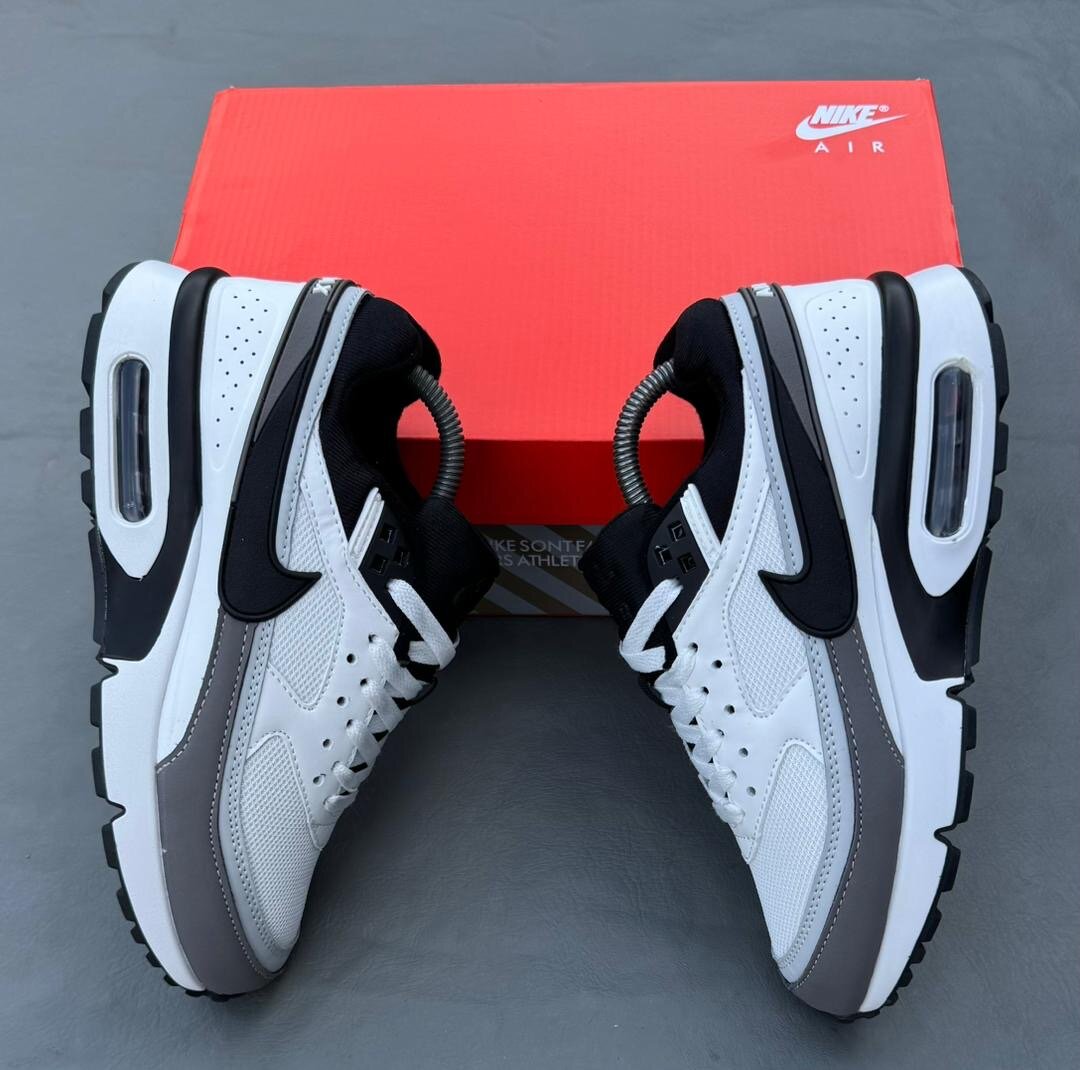 Nike Air Max Sneakers