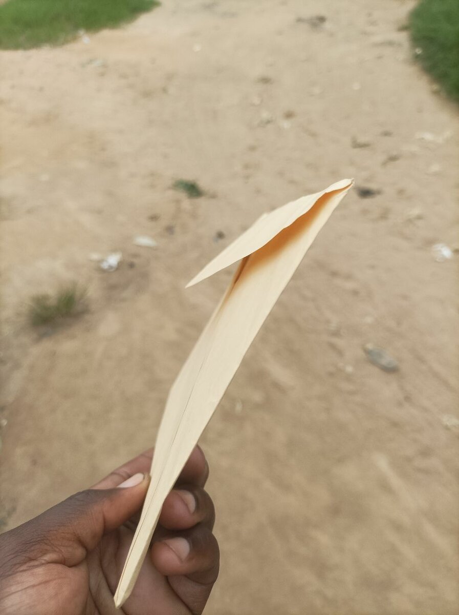 Enveloppe kraft robuste