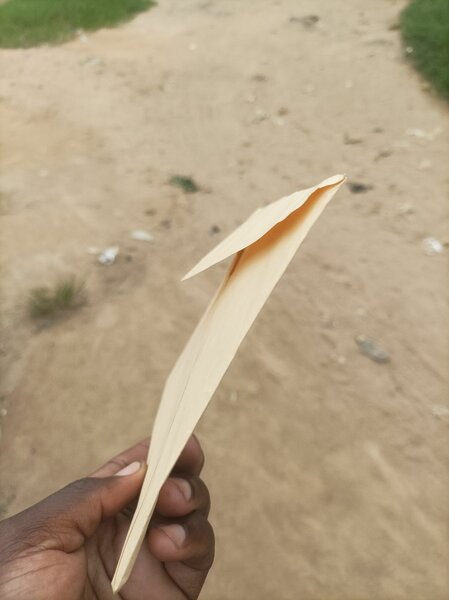 Enveloppe kraft robuste