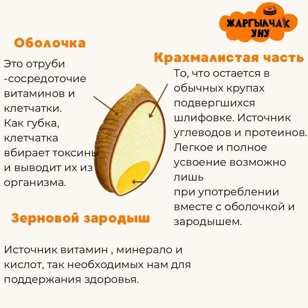 Толук дандуу Жаргылчак уну# Цельнозерновая пшеничная мука