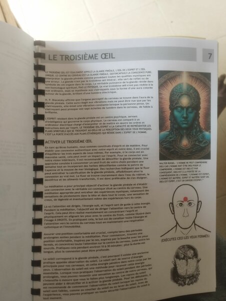 Livre de la sagesse de Harry B.Joseph