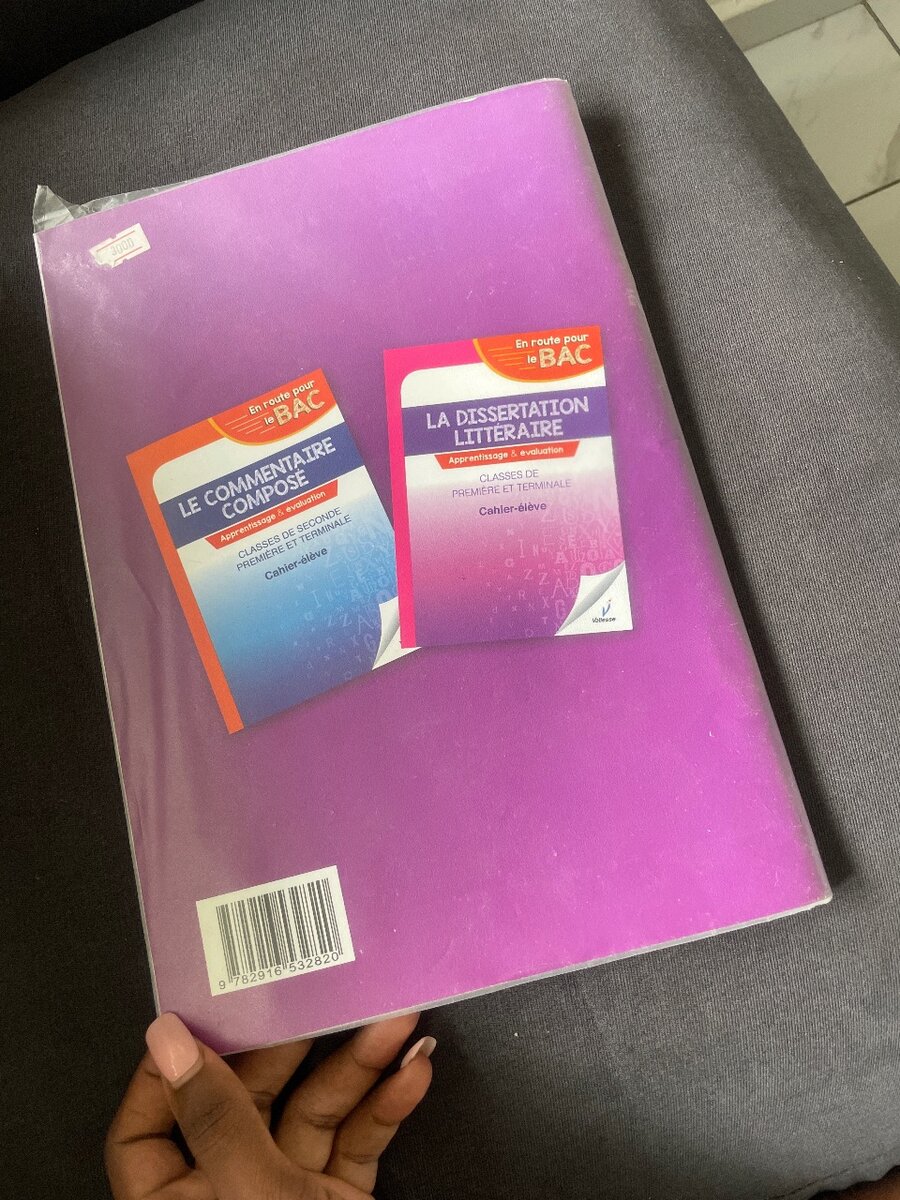 Cahier Résumé Texte BAC