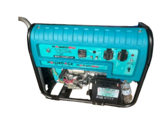 Groupe électrogène powerage PA16900EW