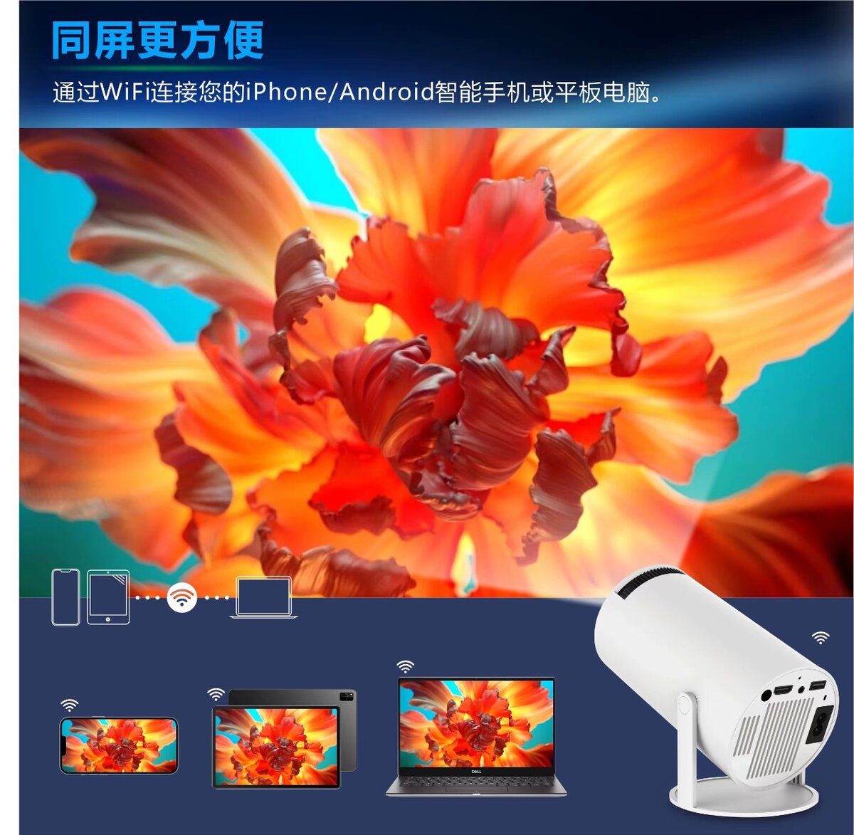 Mini projecteur borrego