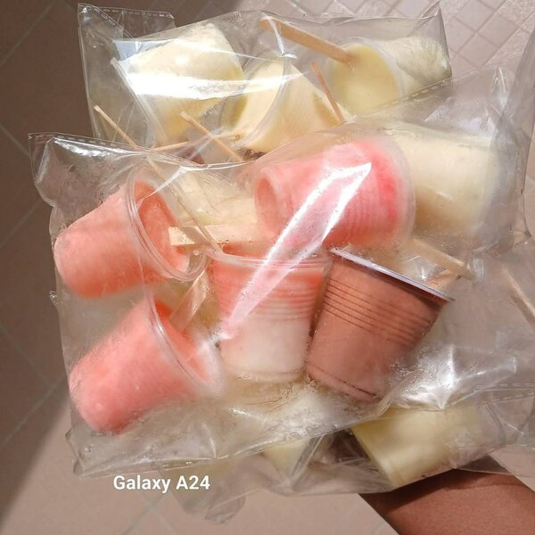 Glaces artisanales variées givrées