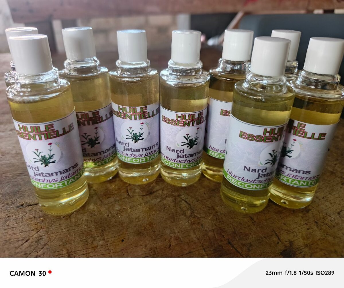 Huile Essentielle Nard Jatamansi