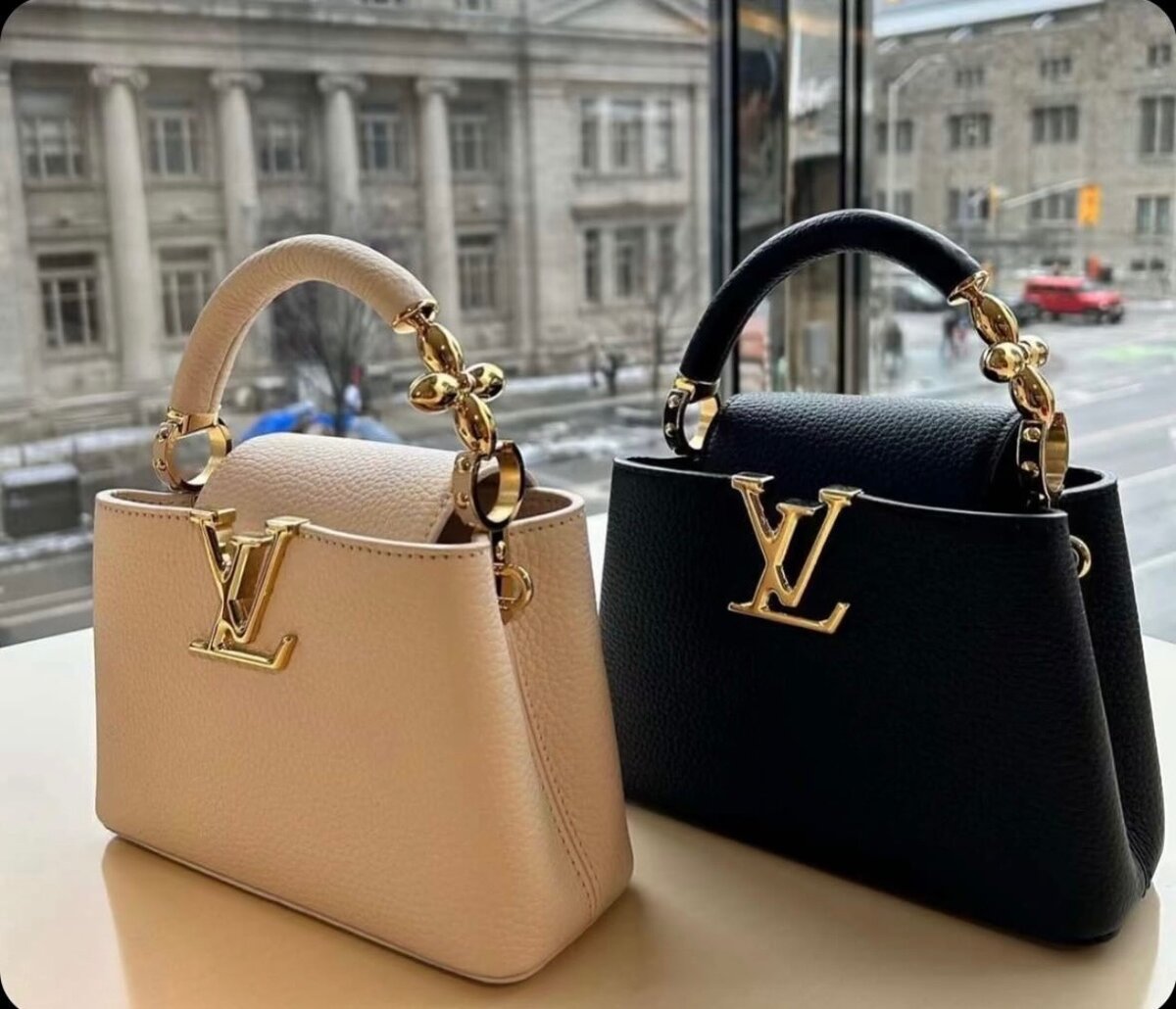 LV Bag