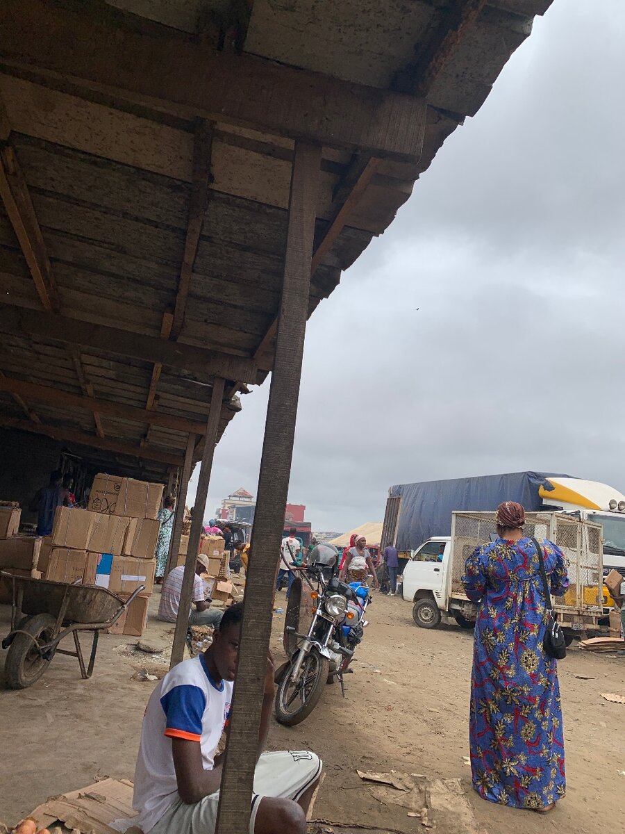 Cartons d´Oeufs de 14plaquette