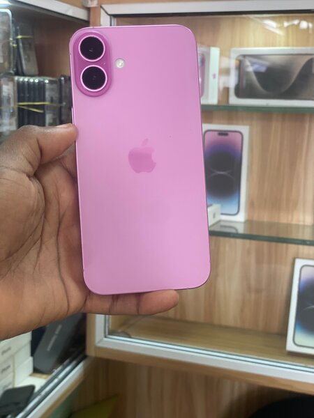 iPhone 16 Plus Rose