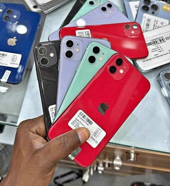 iPhone 11 couleurs variées