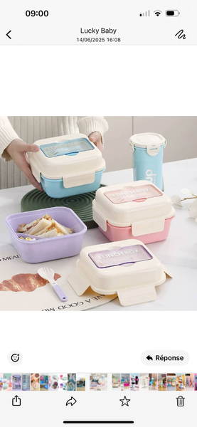 Boîtes à lunch colorées étanches