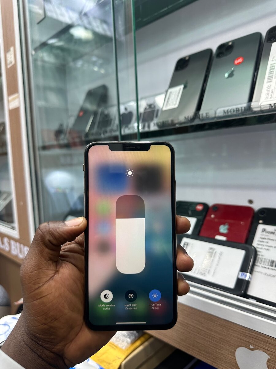 iPhone XS Max 64 Go