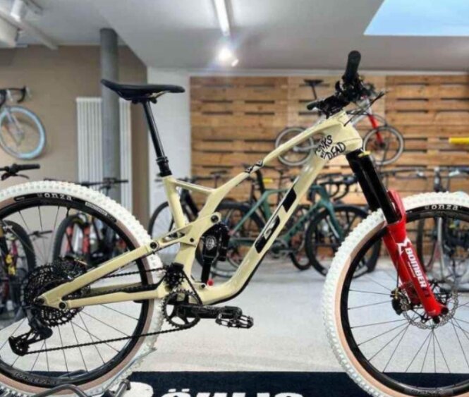 Vélos de montagne pliables haute performance