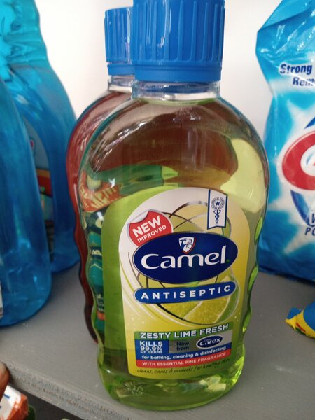 Camel antiseptic