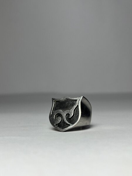 Stainless steel gotchic rings