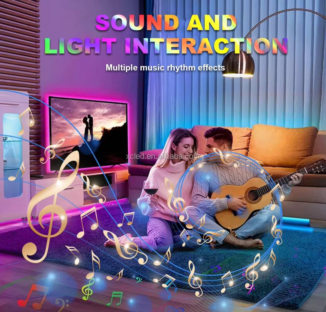 Lumière LED Néon 5M RGB