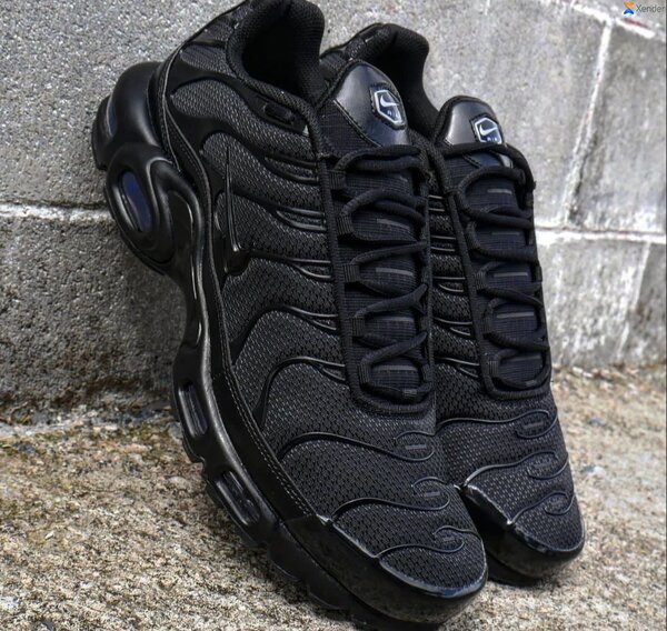 Chaussures Nike TN noir pour homme