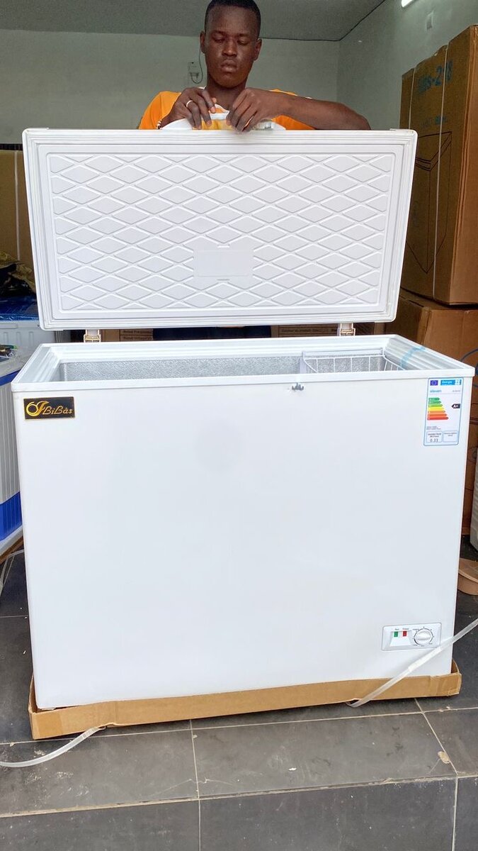 Congélateur flilas 308L