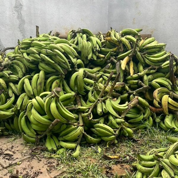 3 régimes à 5.000f