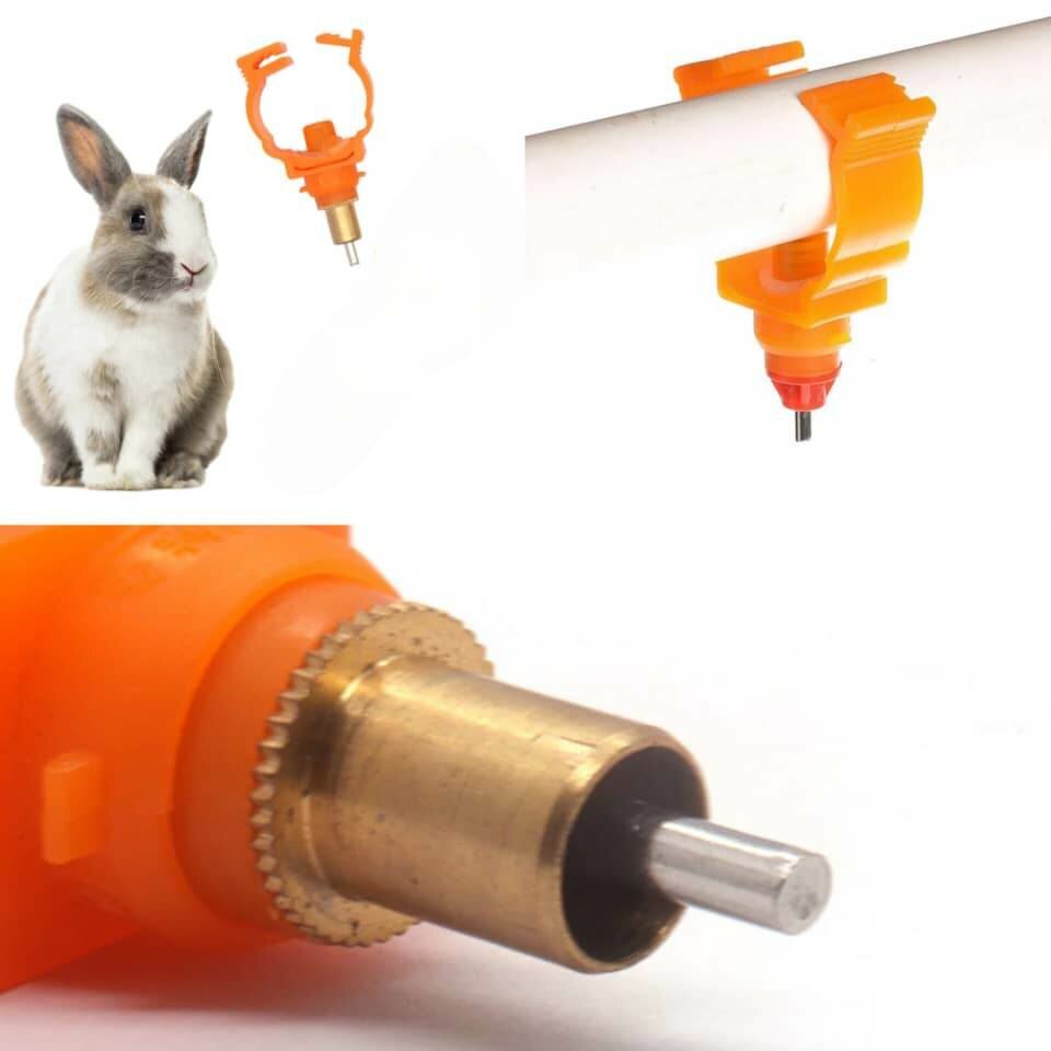 Abreuvoir lapin 25mn