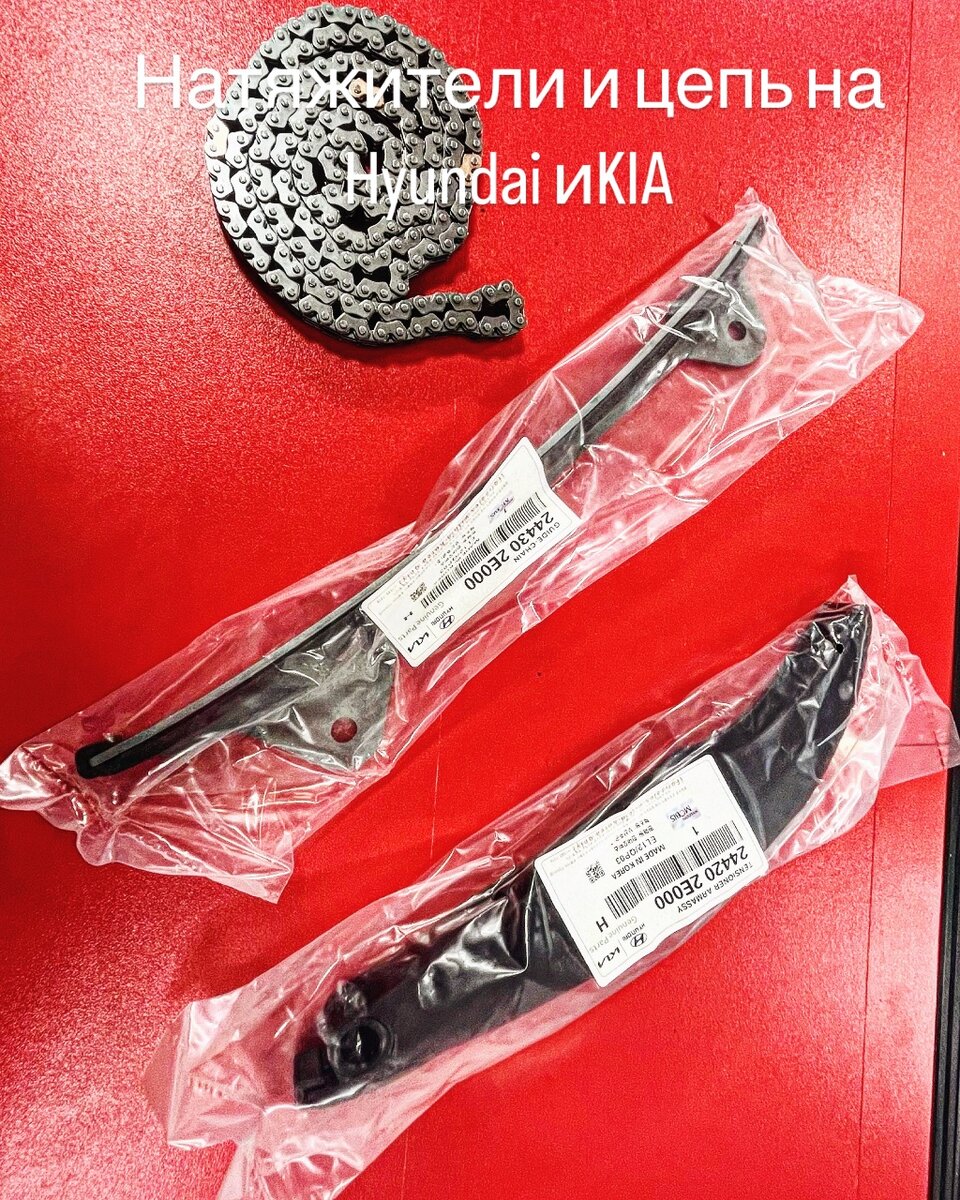 Ремкомплект двигателя (цепи)