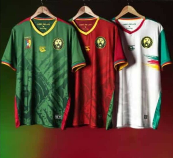Maillots Équipe Fan