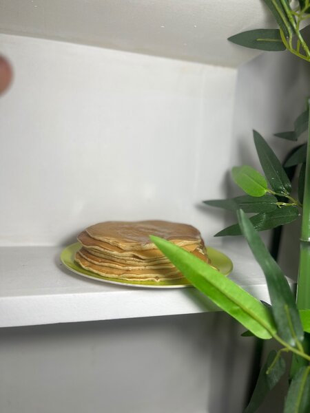 Pancakes nature (10)