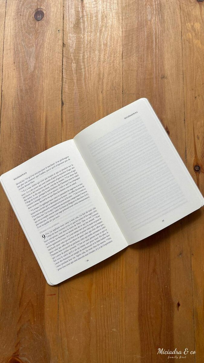 Bible en carnets Ecclésiaste