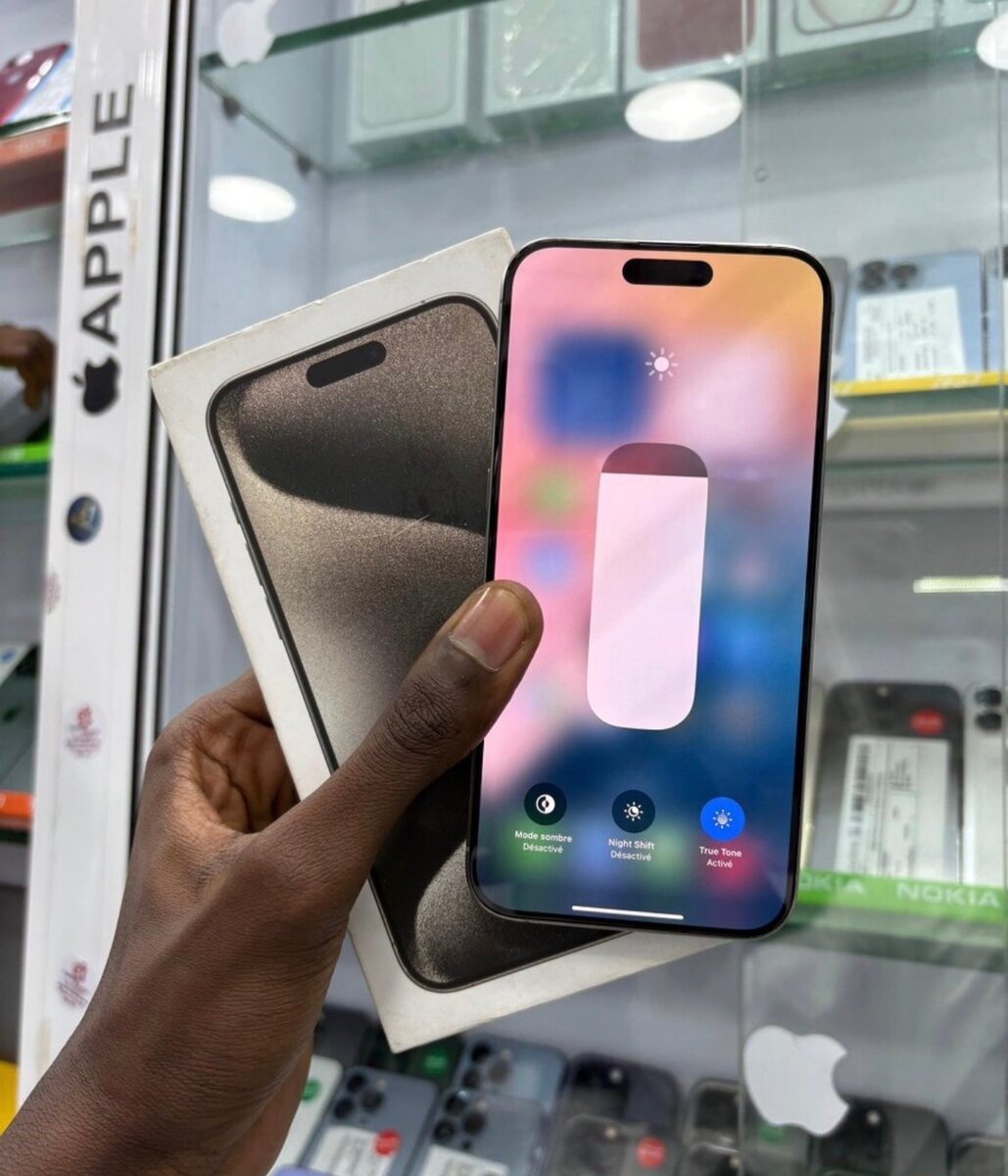 iPhone 15 Pro Max 256Go Gris