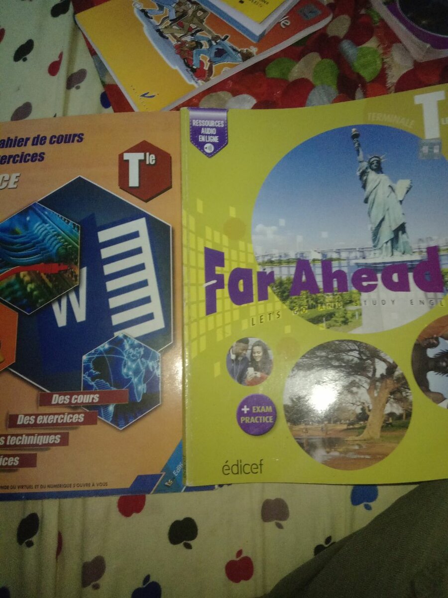 Lot de manuels scolaires Terminale